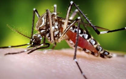 Estudantes desenvolvem projetos inovadores para o meio ambiente