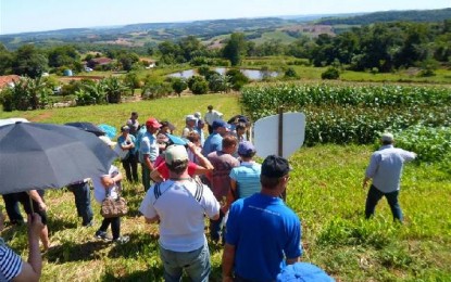 Dia de Campo em Crissiumal envolve famílias da chamada pública