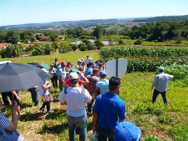 Dia de Campo em Crissiumal envolve famílias da chamada pública