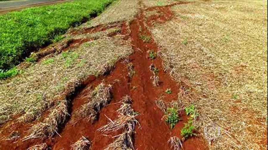 Por mau uso, solos férteis devem cair pela metade até 2050