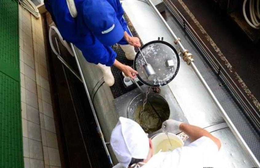 Nestlé, Aurora e BRF receberam leite fraudado