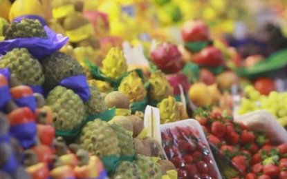 Programa para controle de Moscas das Frutas deve ser apresentado em 2015