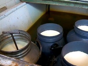 Corrupção na fiscalização do leite ocorria há 20 anos, diz PF