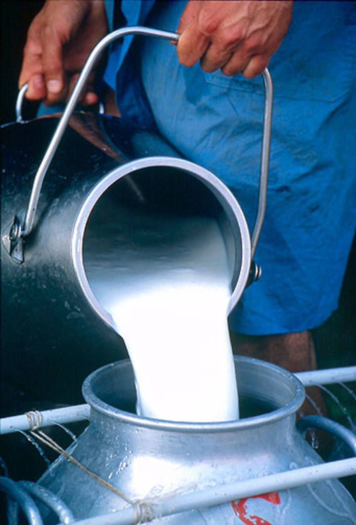 Justiça mantém multa a cooperativa no Noroeste do Estado por leite adulterado com formol