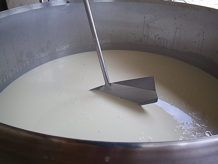 Embrapa avalia avanços do setor lácteo no Brasil