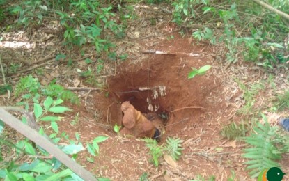 Caçador morre entalado em toca de tatu no interior de Passo Fundo