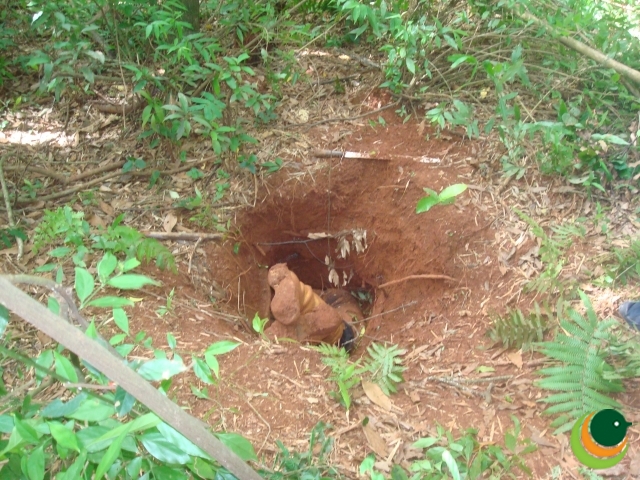 Caçador morre entalado em toca de tatu no interior de Passo Fundo