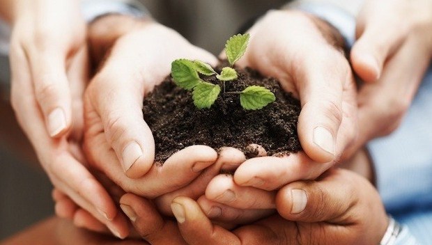 Conab contrata mais de R$ 320 milhões no Programa de Aquisição de Alimentos em 2014