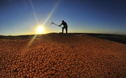 Expansão eleva a dependência da soja para a economia gaúcha