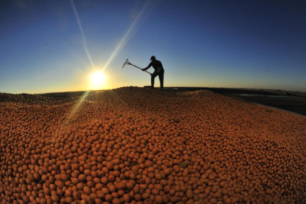 Expansão eleva a dependência da soja para a economia gaúcha