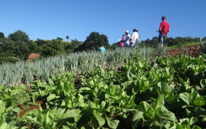 Produtores do Noroeste gaúcho recebem vistoria de conformidade de produção orgânica