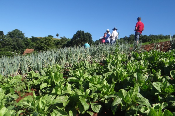 Produtores do Noroeste gaúcho recebem vistoria de conformidade de produção orgânica