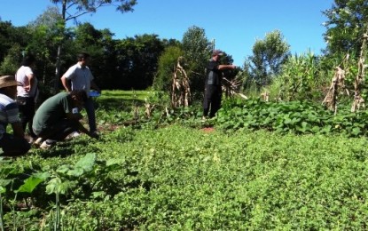 Produção orgânica é estimulada com certificação no Noroeste gaúcho