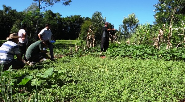 Produção orgânica é estimulada com certificação no Noroeste gaúcho