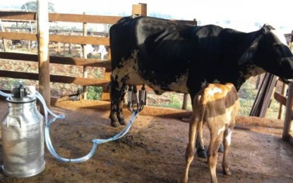 Rio Grande do Sul deve pedir crédito para produtor de leite afetado pela crise