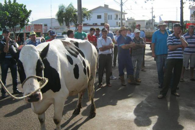 Gisele Loeblein: atrasos de pagamento no setor leiteiro preocupam