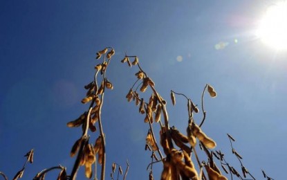 Bayer confirma interesse de adquirir unidade da CCGL no Estado