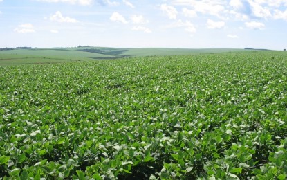 Soja é beneficiada por fatores climáticos
