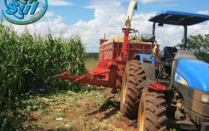 Jovem sofre acidente com ensiladeira e tem parte da perna amputada em Crissiumal