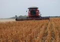Quase 10% das lavouras de soja estão colhidas no Estado