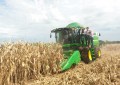Colheita das principais culturas de verão está praticamente concluída no RS
