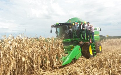 Colheita das principais culturas de verão está praticamente concluída no RS