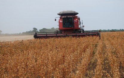 Colheita da soja no Brasil começa com produtividades irregulares