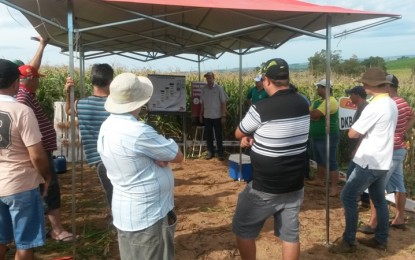 Dias de Campo realizado nos municípios de Miraguaí, Tenente Portela, Derrubadas e Barra do Guarita