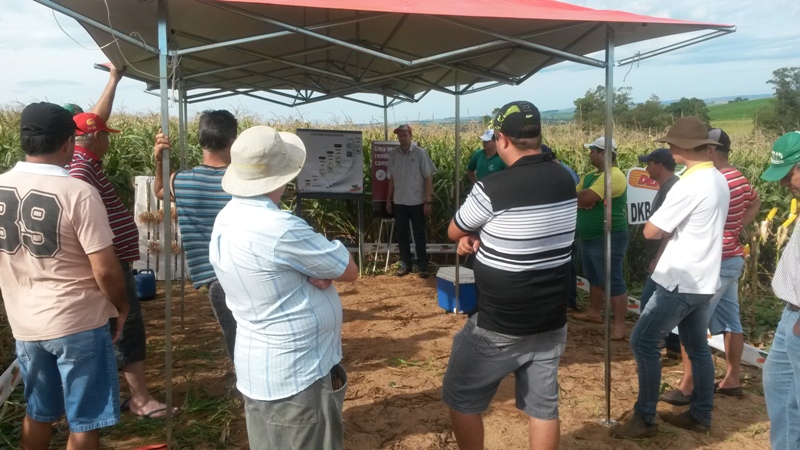 Dias de Campo realizado nos municípios de Miraguaí, Tenente Portela, Derrubadas e Barra do Guarita