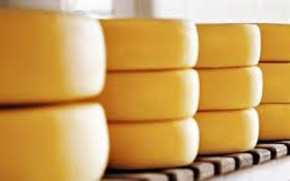 Rio Grande do Sul regulamenta produção do queijo artesanal serrano