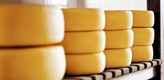 Rio Grande do Sul regulamenta produção do queijo artesanal serrano