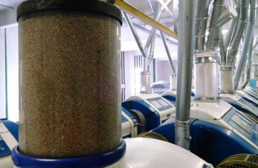 Brasil deve aumentar a importação de trigo