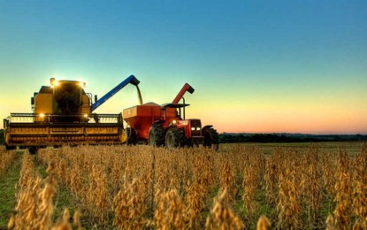 Produção de grãos aumenta 4,5% e chega a 202 milhões de toneladas, diz Conab