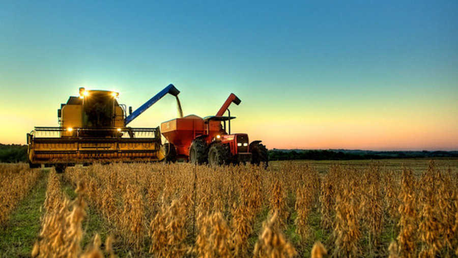 Produção de grãos aumenta 4,5% e chega a 202 milhões de toneladas, diz Conab