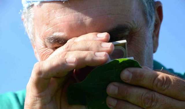 Áreas de soja em floração apresentam ferrugem asiática