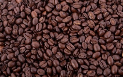 Embrapa e UnB descobrem uma proteína de café com efeito similar ao da morfina
