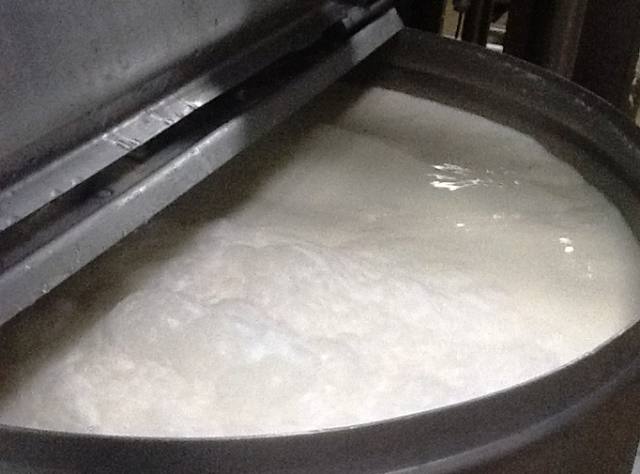 Preço do leite começa a se recuperar em Santa Catarina