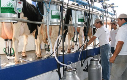 Fetag-RS organiza mobilização de produtores de leite