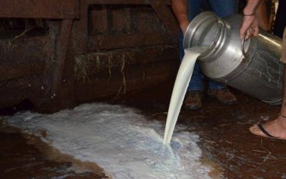Com recolhimento suspenso pela greve dos caminhoneiros produtores jogam leite fora