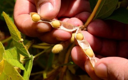 Colheita de grãos deve injetar R$ 121,97 bi na economia gaúcha