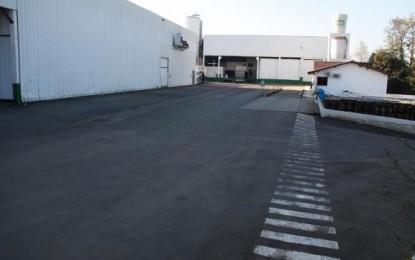 Crise força laticínios Santa Rita a decretar falência