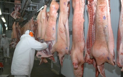 Frigorífico de Frederico Westphlen diminui 80% o abate de suínos