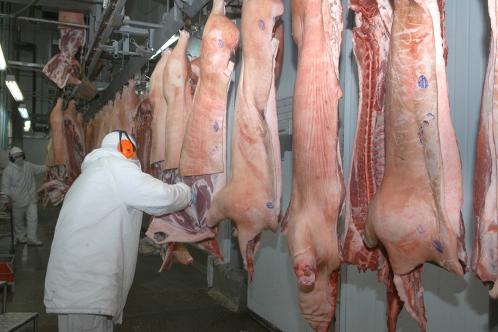 Frigorífico de Frederico Westphlen diminui 80% o abate de suínos