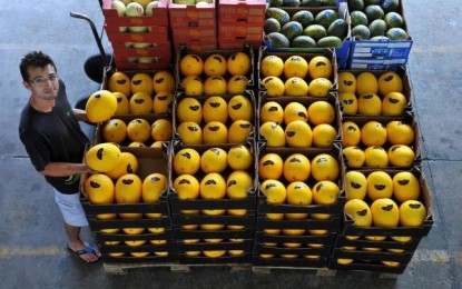 Confira o impacto do protesto dos caminhoneiros no Rio Grande do Sul