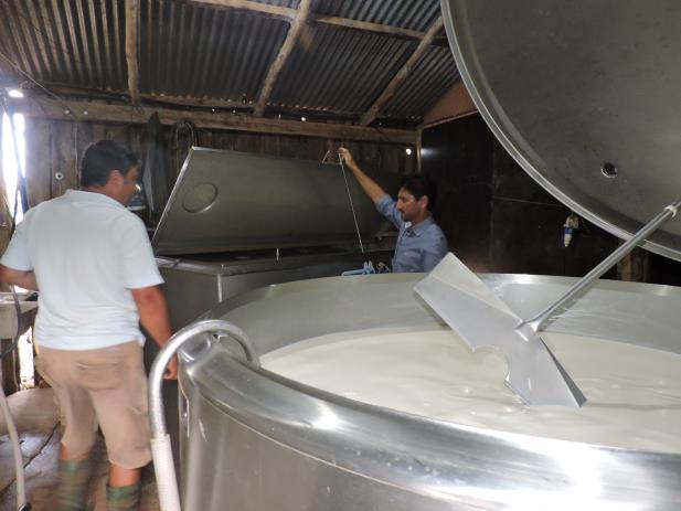 Protesto dos caminhoneiros afeta produtores de leite da fronteira do Estado