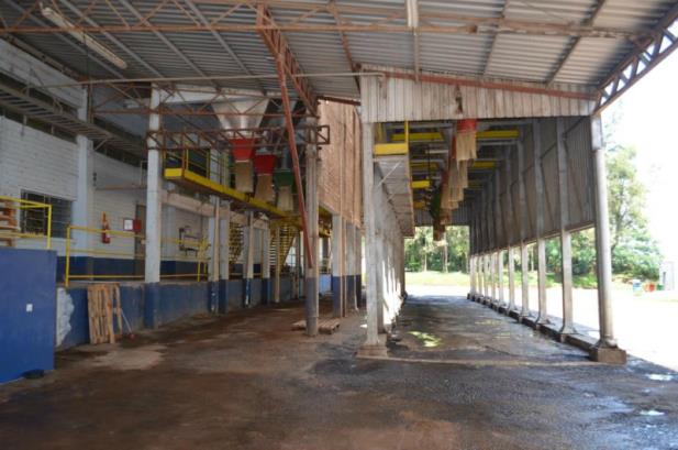 Protesto dos caminhoneiros afeta suinocultura e avicultura