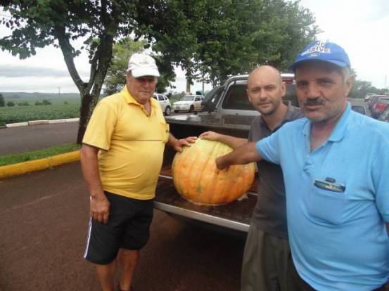 Moranga gigante é colhida por produtor de Boa Vista do Cadeado