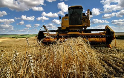 Exportação alivia risco de elevado estoque de trigo no Rio Grande do Sul