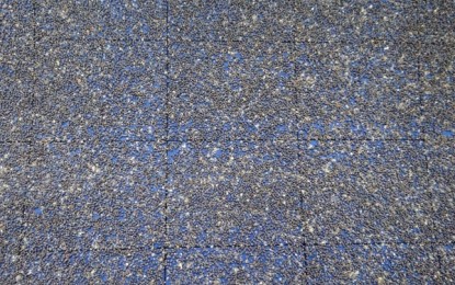 Vespinhas para controle biológico da lagarta do cartucho são distribuídas no Noroeste do Estado