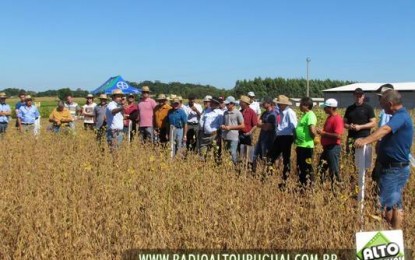 Cotricampo promove Dia de Campo da Soja, destacando safra recorde e novidades tecnológicas